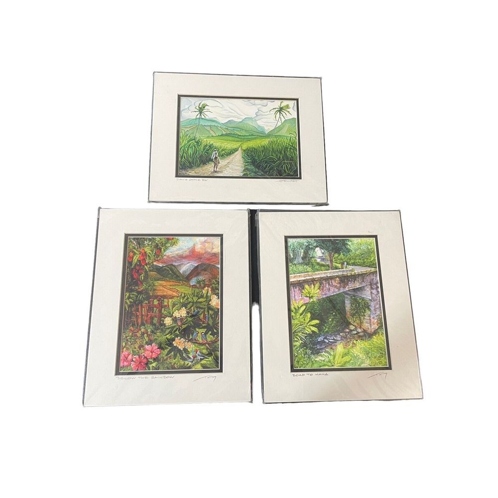 W.S.B Tully Laser Prints‎ 3 8x10 wall art matted New
